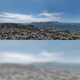 Image for article titled These images show just how differently cats and humans see the world